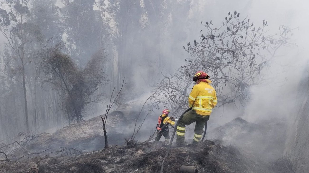 Combaten bomberos incendio forestal en Quito, Ecuador
