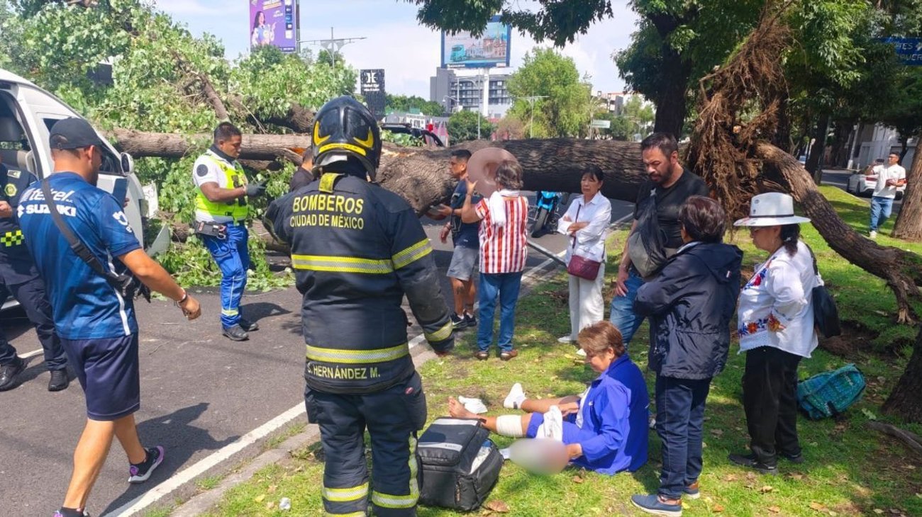 Cae árbol sobre camión de pasajeros en Ciudad de México