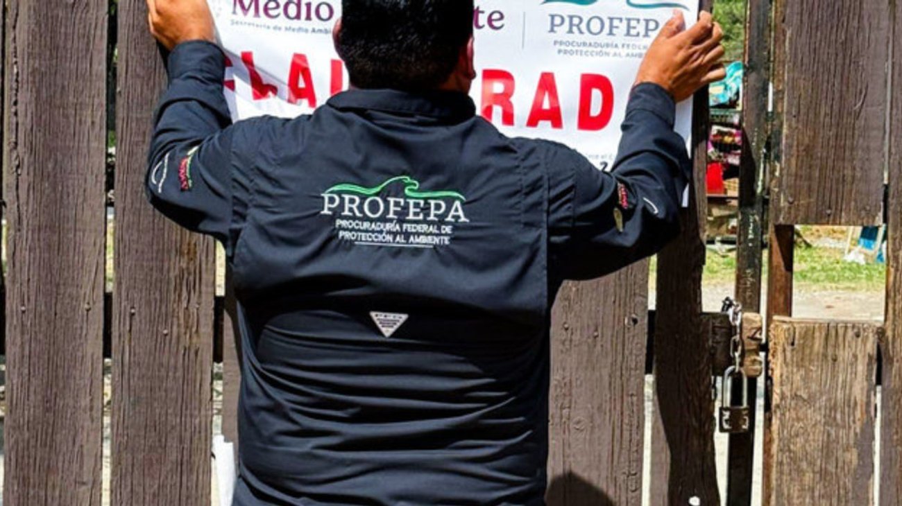 Profepa clausura 'La Pastora' por caso de osa Mina