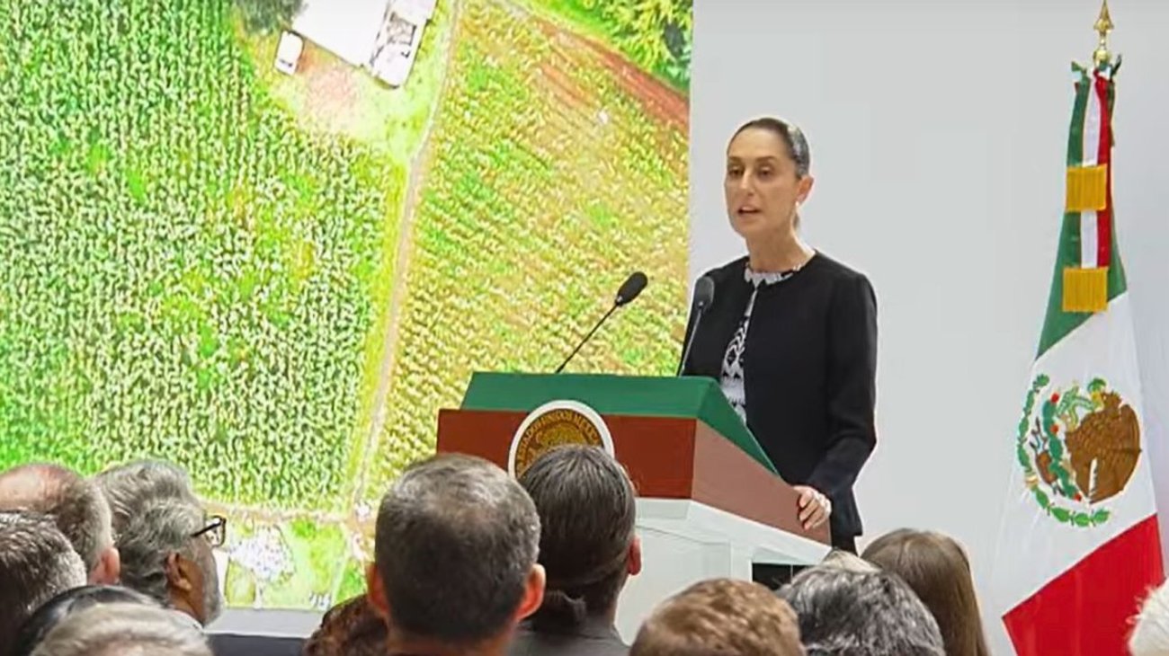 Rinde Claudia Sheinbaum su Primer Informe de Gobierno 