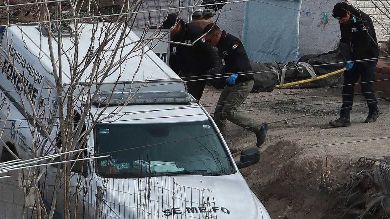Exhuman más de 50 cadáveres en fosas clandestinas en Chihuahua