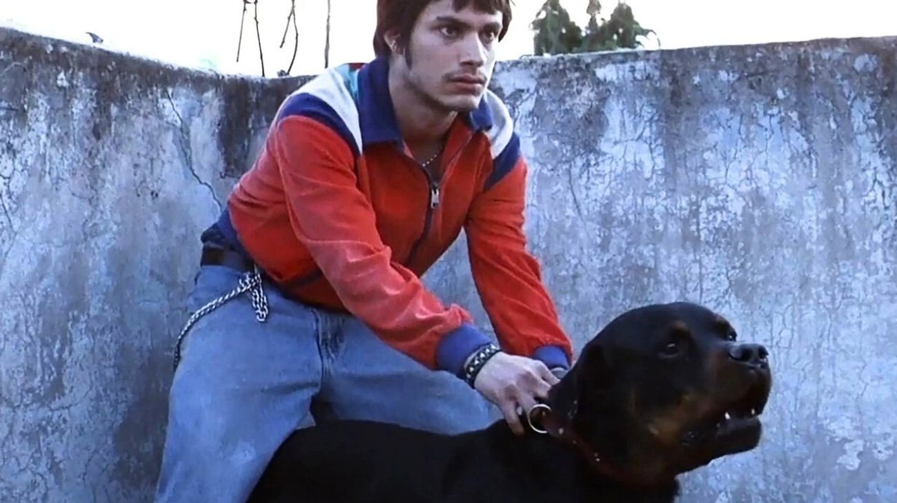 'Amores Perros' celebrará 25 años con proyección en Bellas Artes