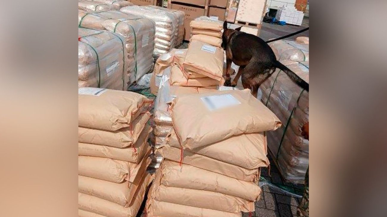 Inmovilizan 54 toneladas de dextrosa en Aduana de Manzanillo