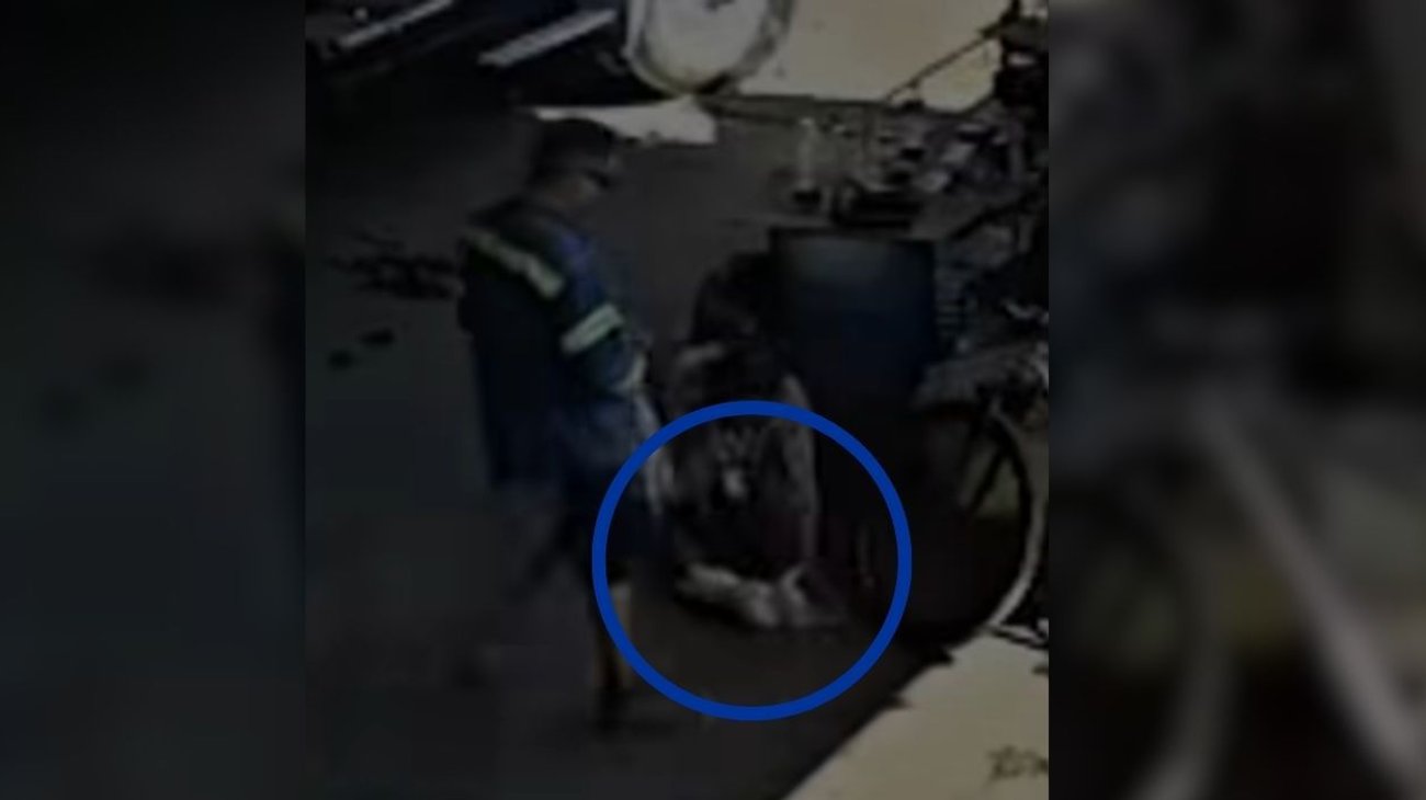 Cae sospechoso de matar a un gato en taller de Apodaca