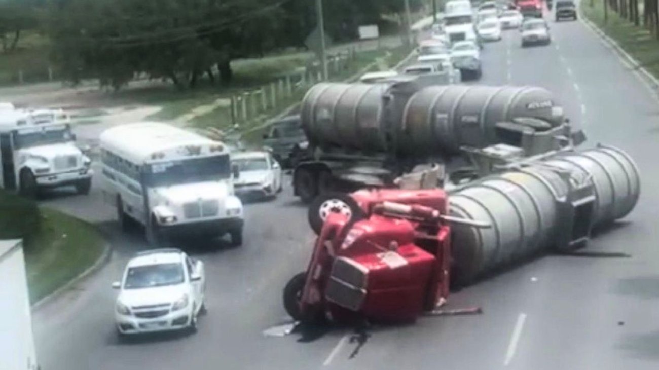 INFO_7_VERTICAL_1_a74d8984db