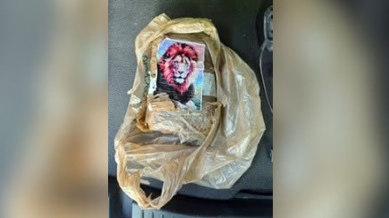 Hallan droga con imagen de un león en costas del sur de Florida