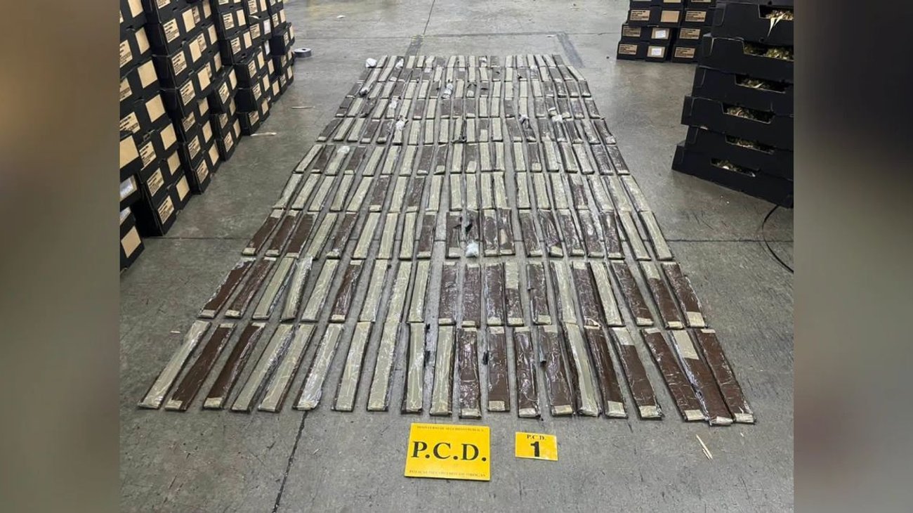 Hallan 52 kilos de cocaína en contenedor en Costa Rica