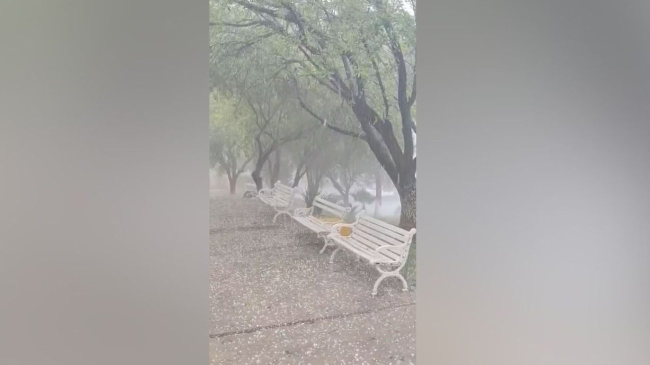 INFO_7_VERTICAL_50_18fb9dc1bc