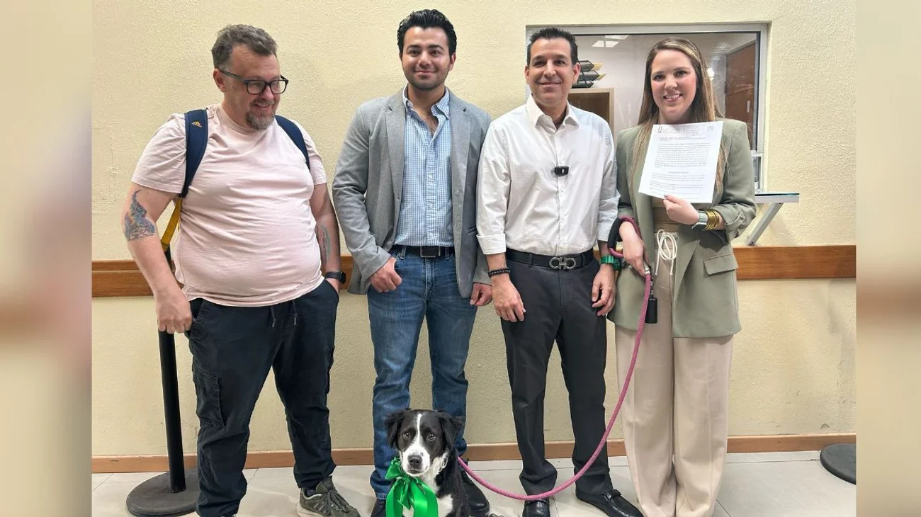 Regularán negocios de venta de mascotas y trato digno