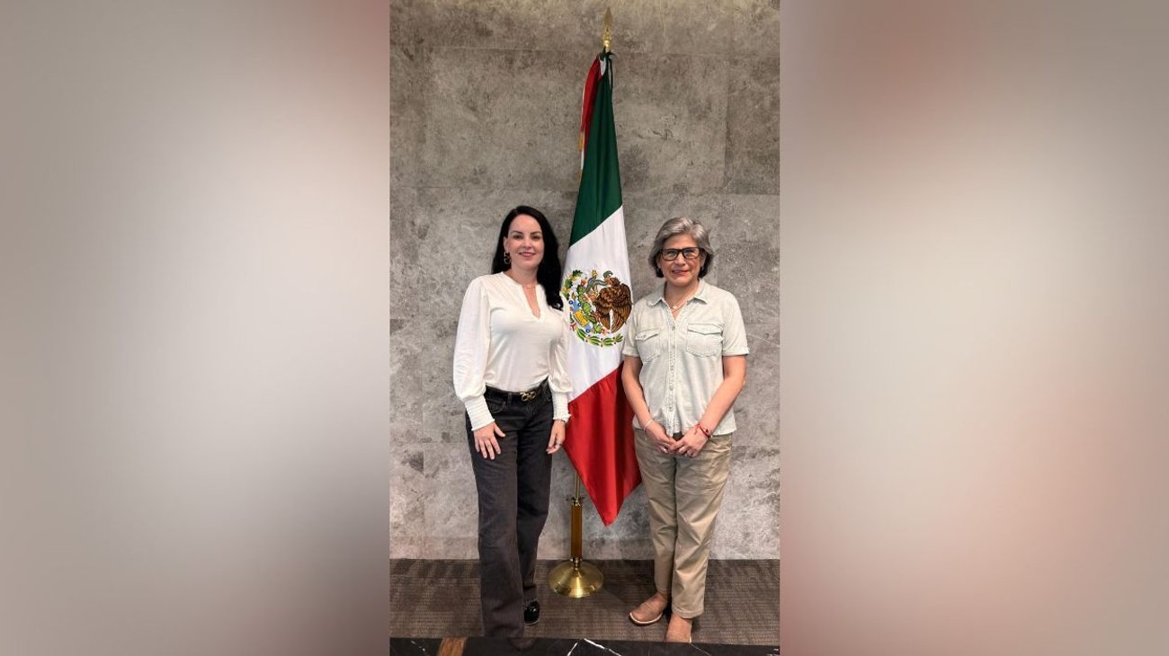 Renuncia Brenda Velázquez a bancada de Morena