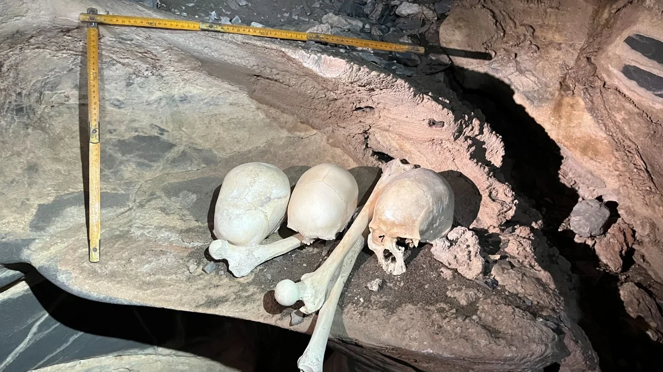 Imagen_de_Whats_App_2025_07_02_a_las_16_08_34_cd16c750_44843e597b