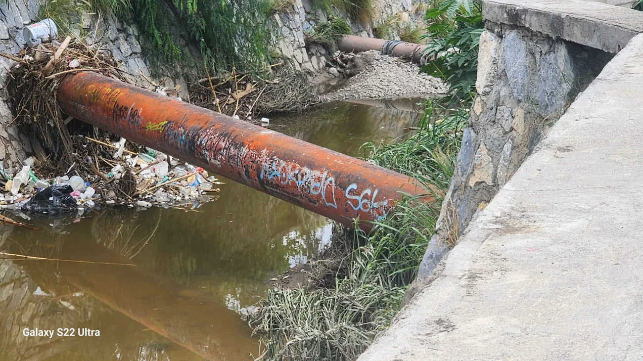 Imagen_de_Whats_App_2025_07_02_a_las_16_35_56_3e581c34_916b71afc0