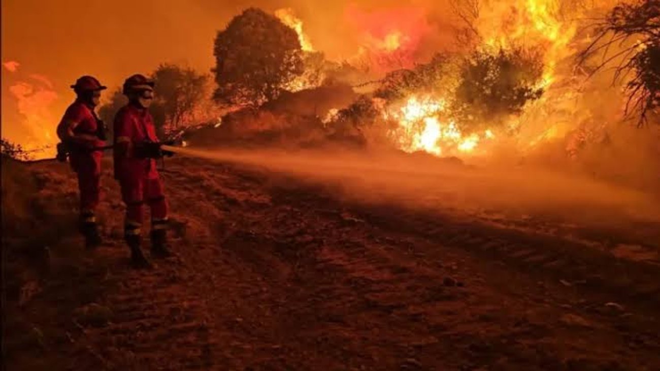 Incendio arrasa 3 mil hectáreas en norte de Colombia