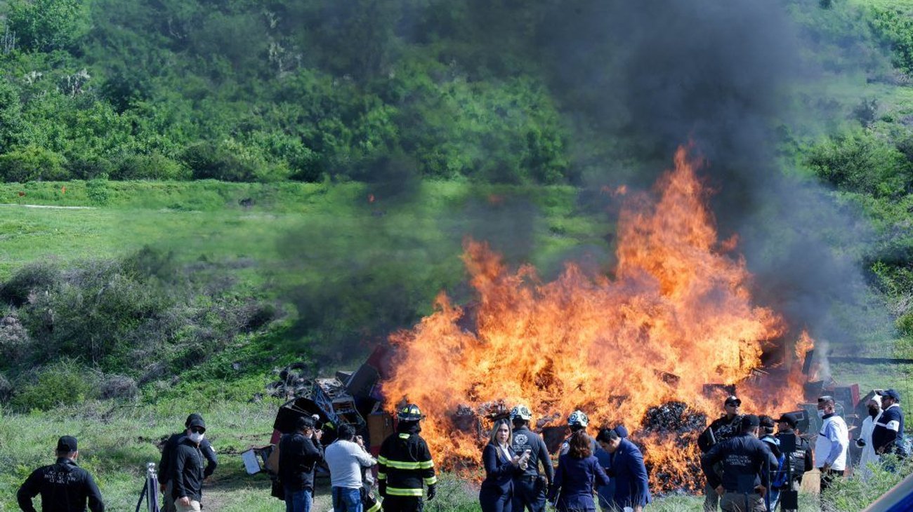 Destruyen drogas y tragamonedas por $10.1 millones en Guanajuato