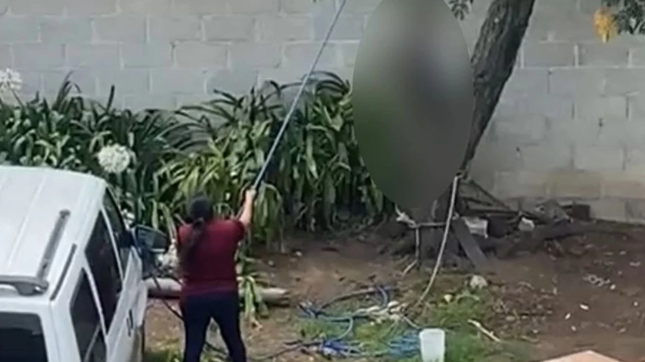 Inician investigación contra mujer por maltrato animal en Hidalgo