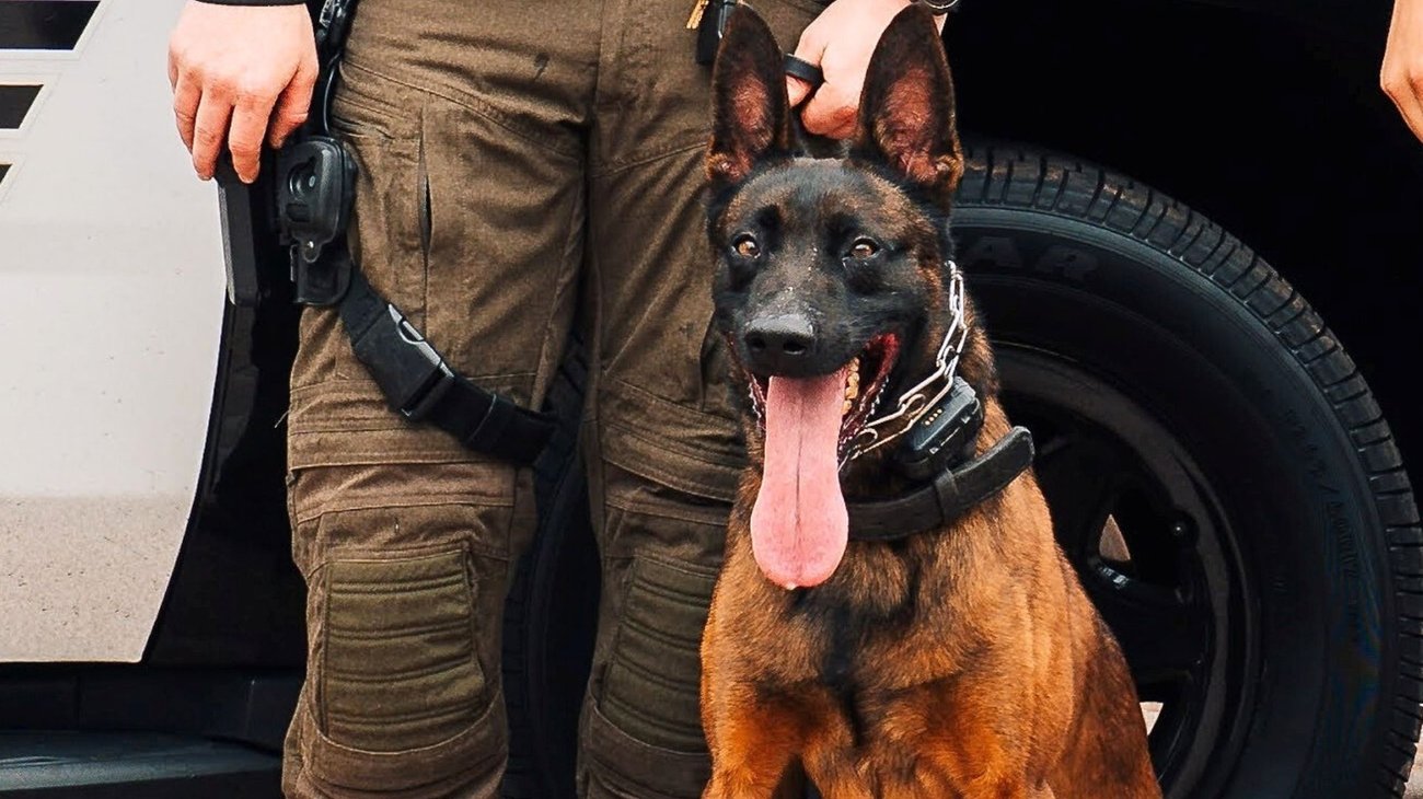 Músico mexicano lleva a juicio mordedura de perro policial en EUA