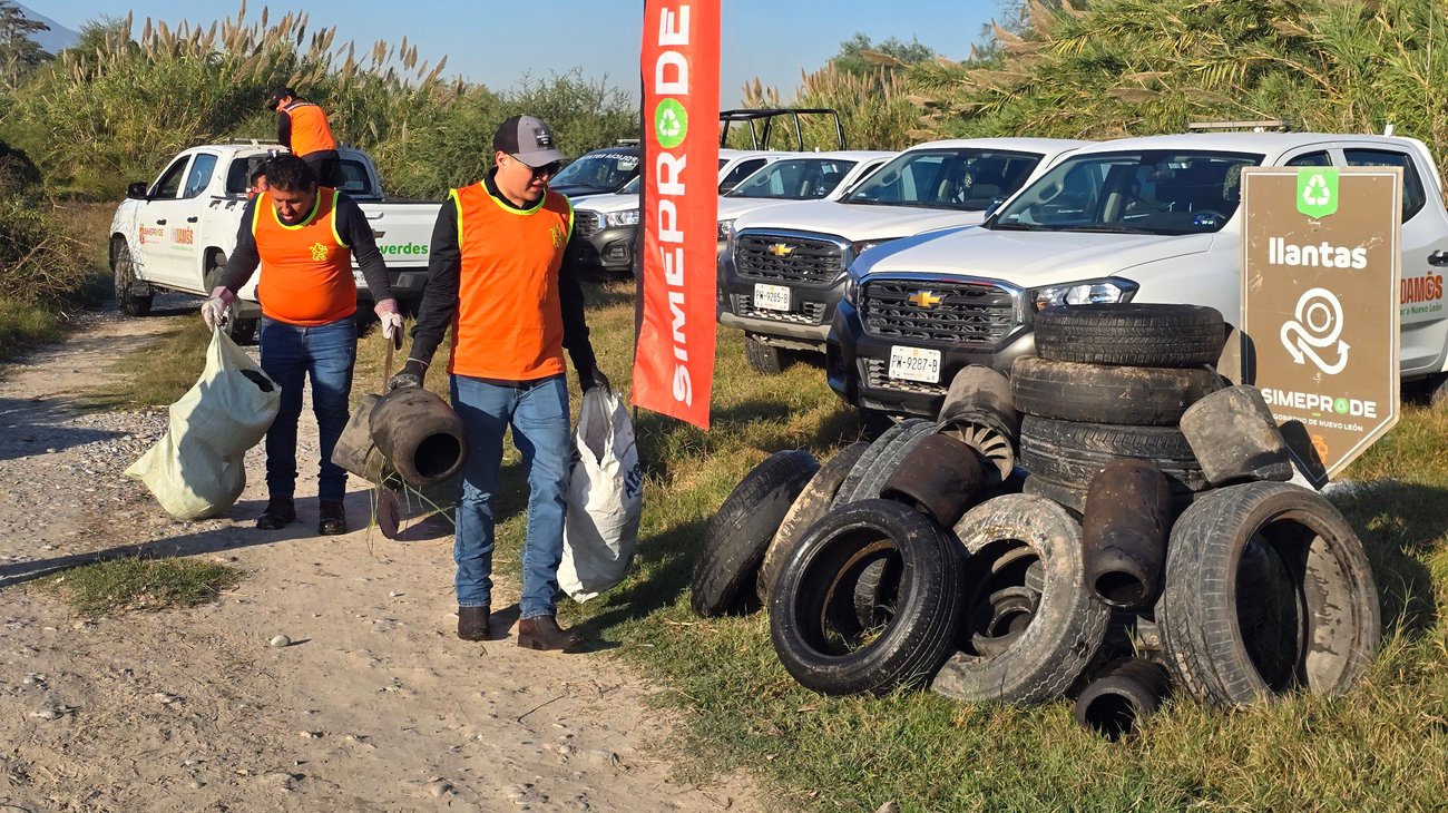 Leones_en_Accion_45a0787c9e