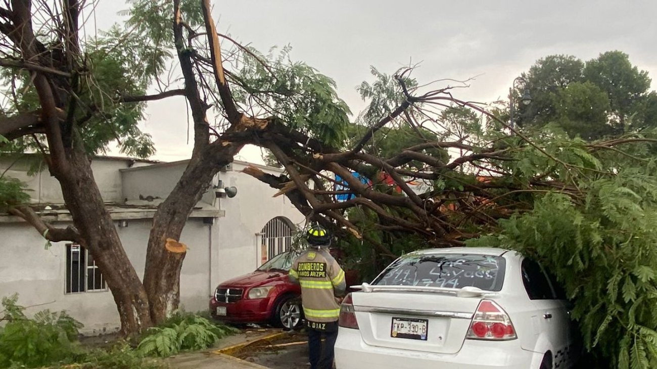 Lluvias_provocaron_caida_de_arboles_y_cierres_viales_en_Ramos_Arizpe_00e56afb61