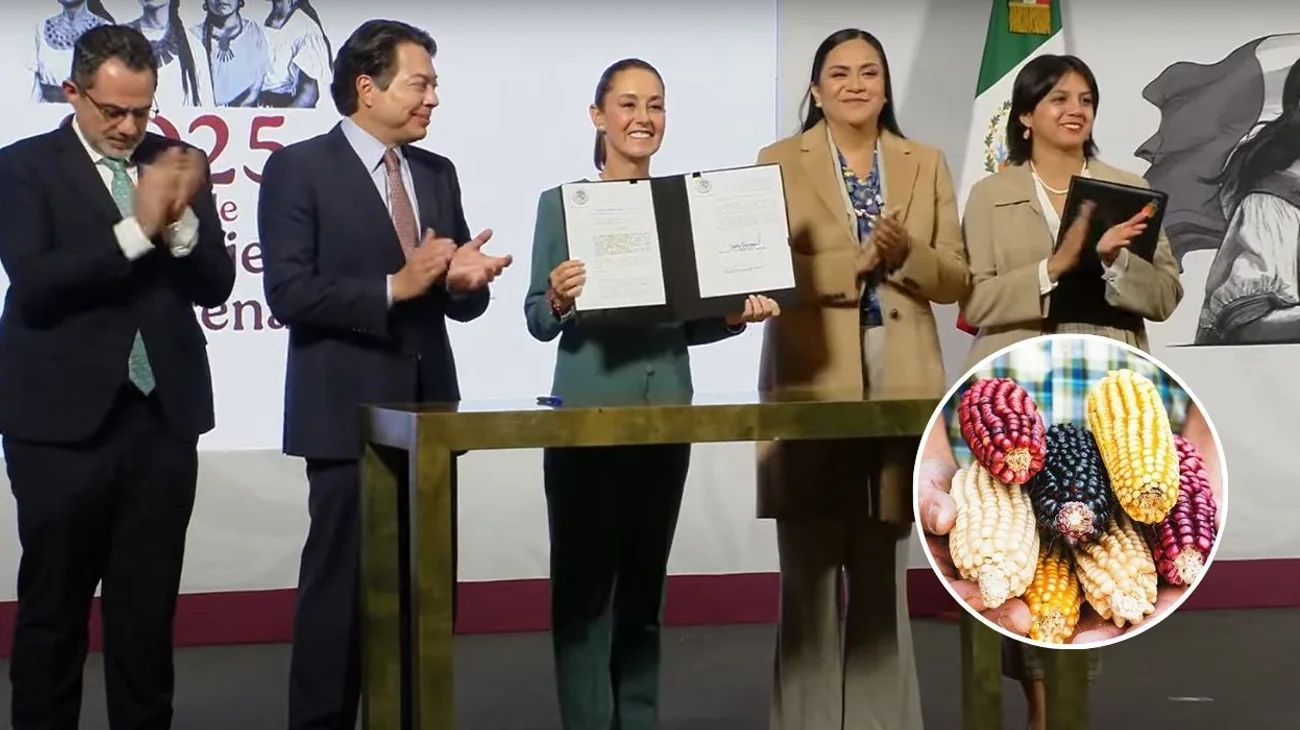 México publica reforma que prohíbe la siembra de maíz transgénico