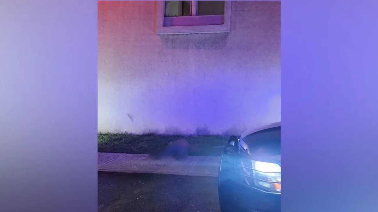 Muere hombre de NL al caer de ventana en motel de Ramos Arizpe