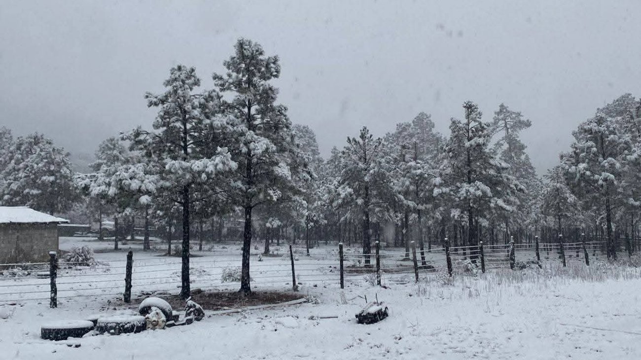Nieve_frio_Chihuahua_5bfb89bb3b