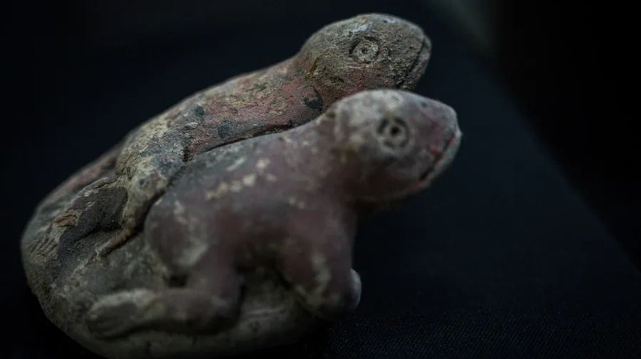 OBJ_20250828_T192340_S0059_I_1_1_1_15_3_1_d55f56d311