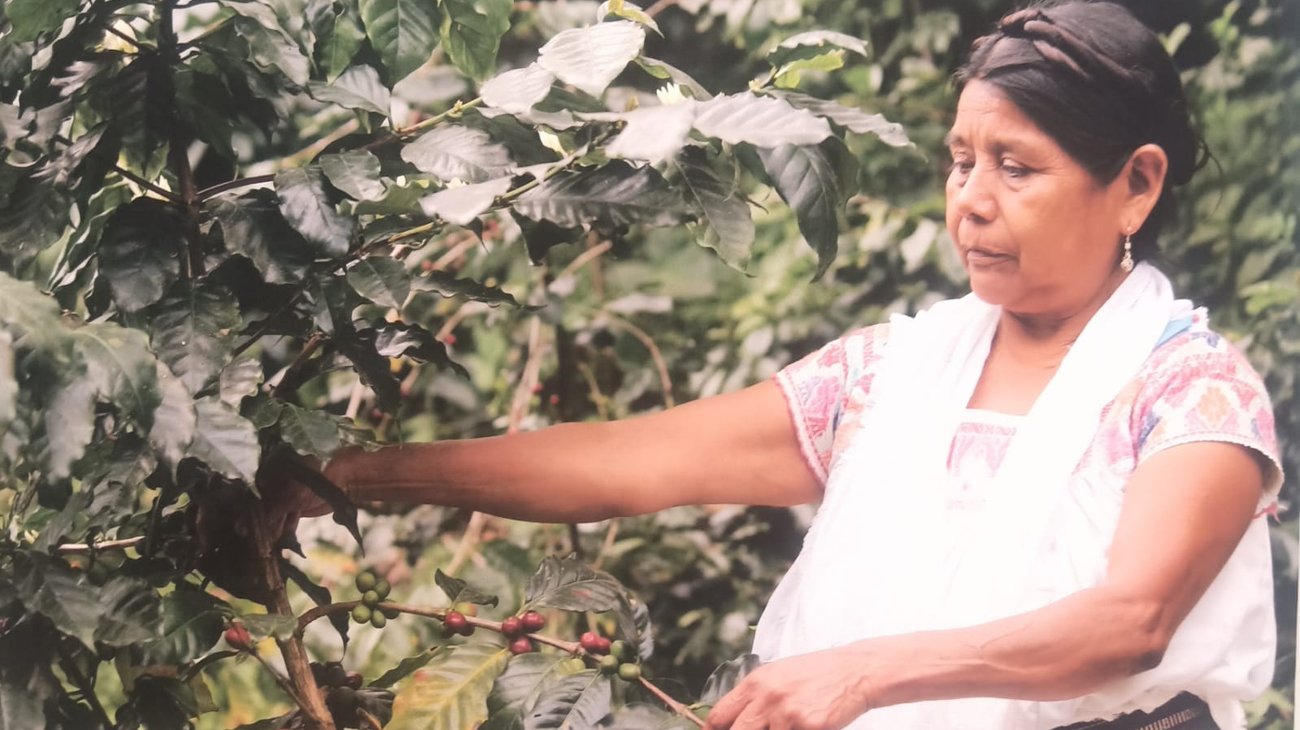 PHOTO_2025_09_04_14_59_30_b0ff473fde