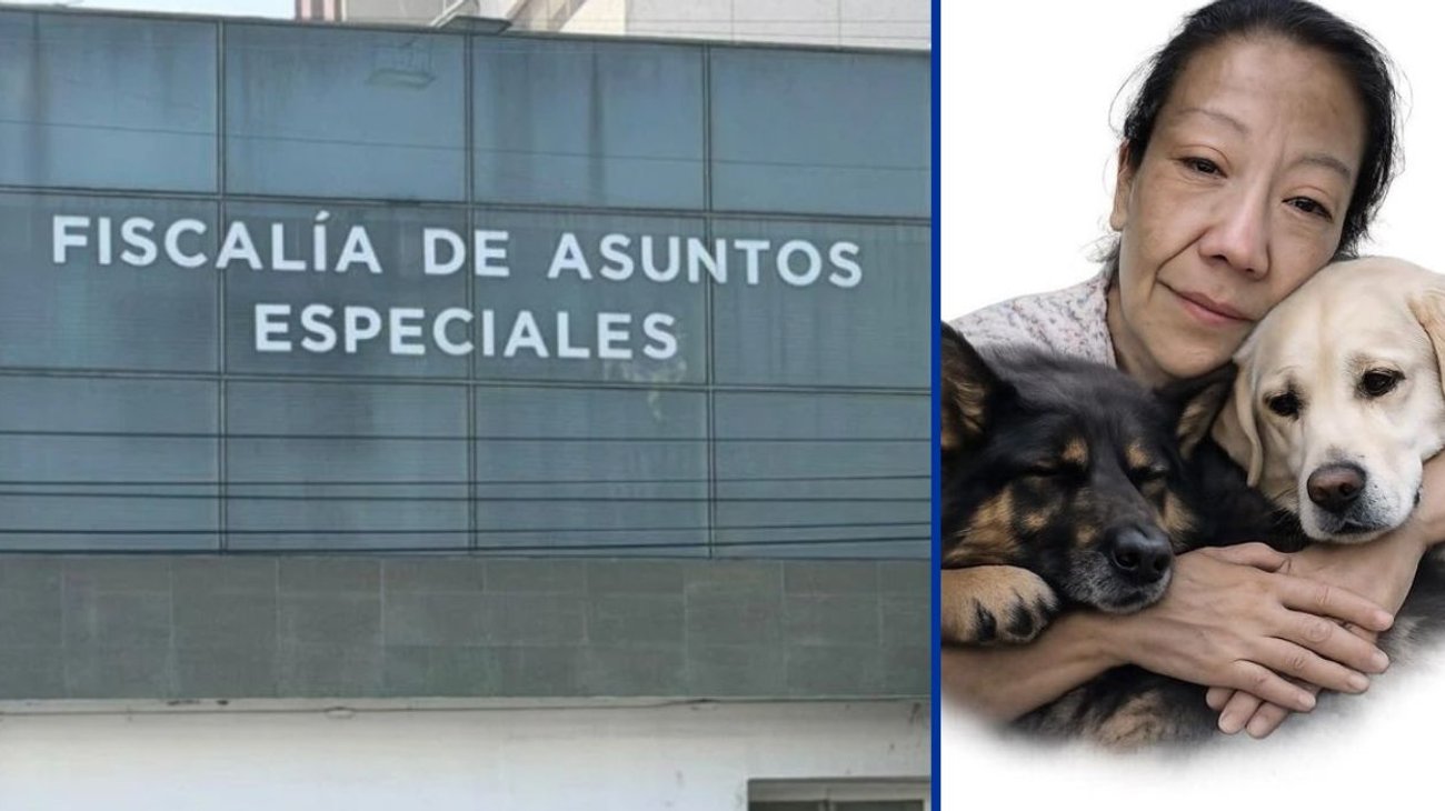 Trasladan a feminicida de Diana Belén, activista de animales