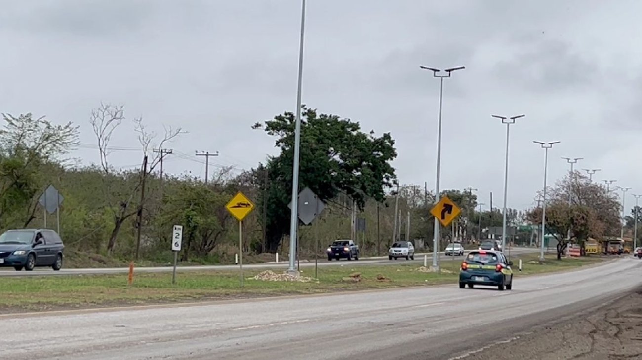 Agricultores al sur de Tamaulipas acuerdan tregua temporal