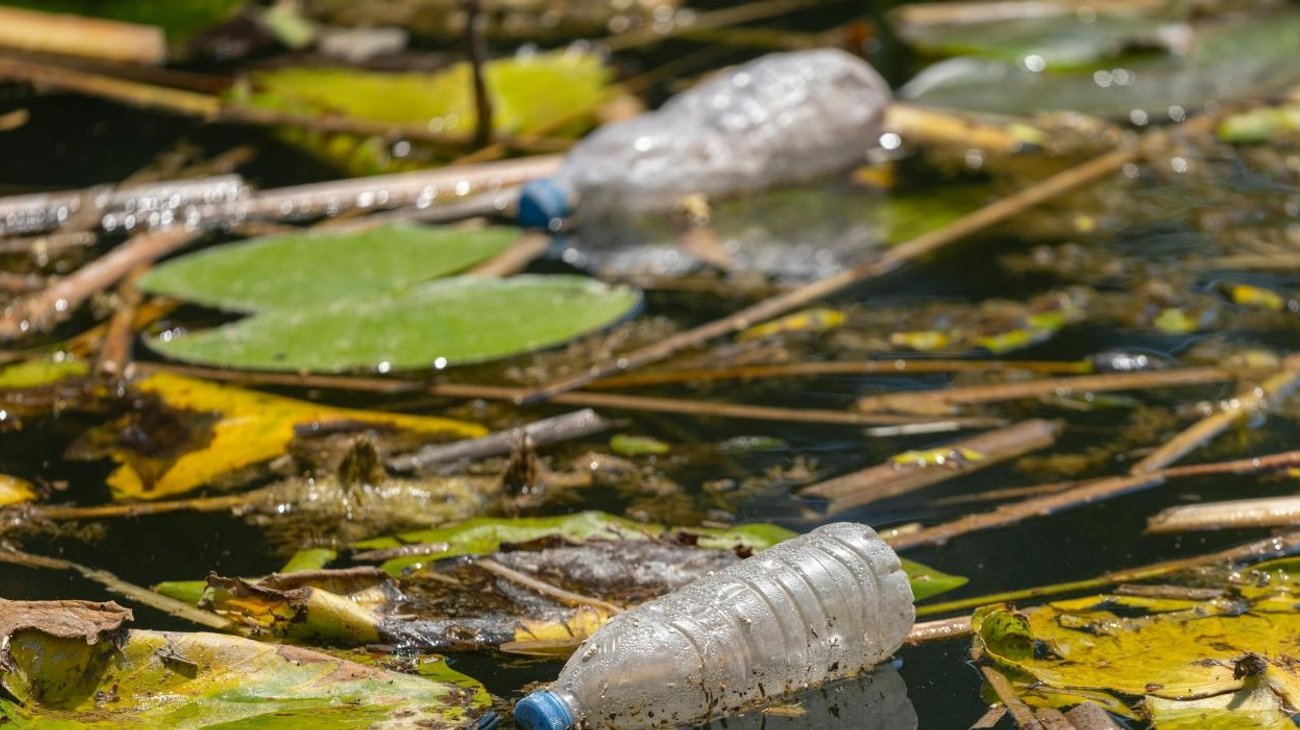 Denuncian vecinos de la colonia Moderna basurero clandestino 