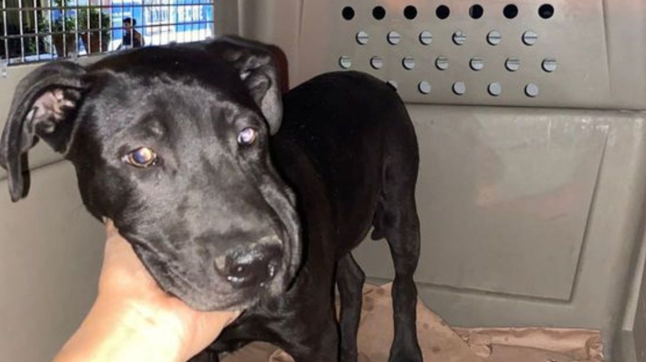 PLANTILLAS_WEB_EH_INFO_7_6973ff73e2