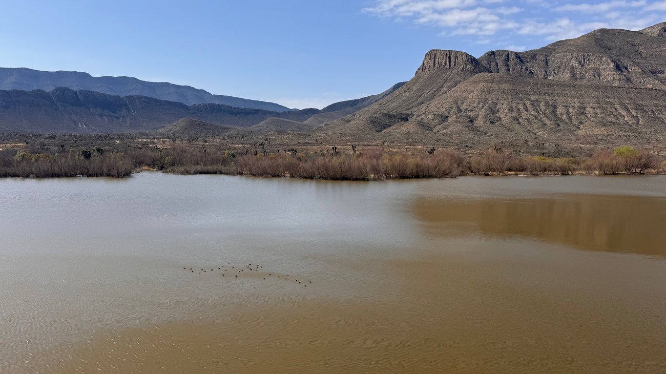 Termina operativo en presa Palo Blanco; no hallan más cocodrilos