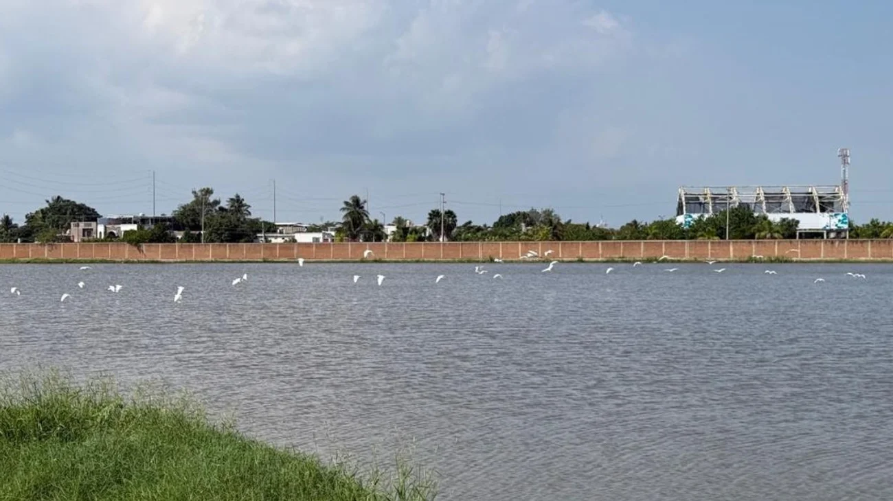 Pemex_reafirma_su_compromiso_ambiental_con_uso_eficiente_de_agua_f4d57287a7