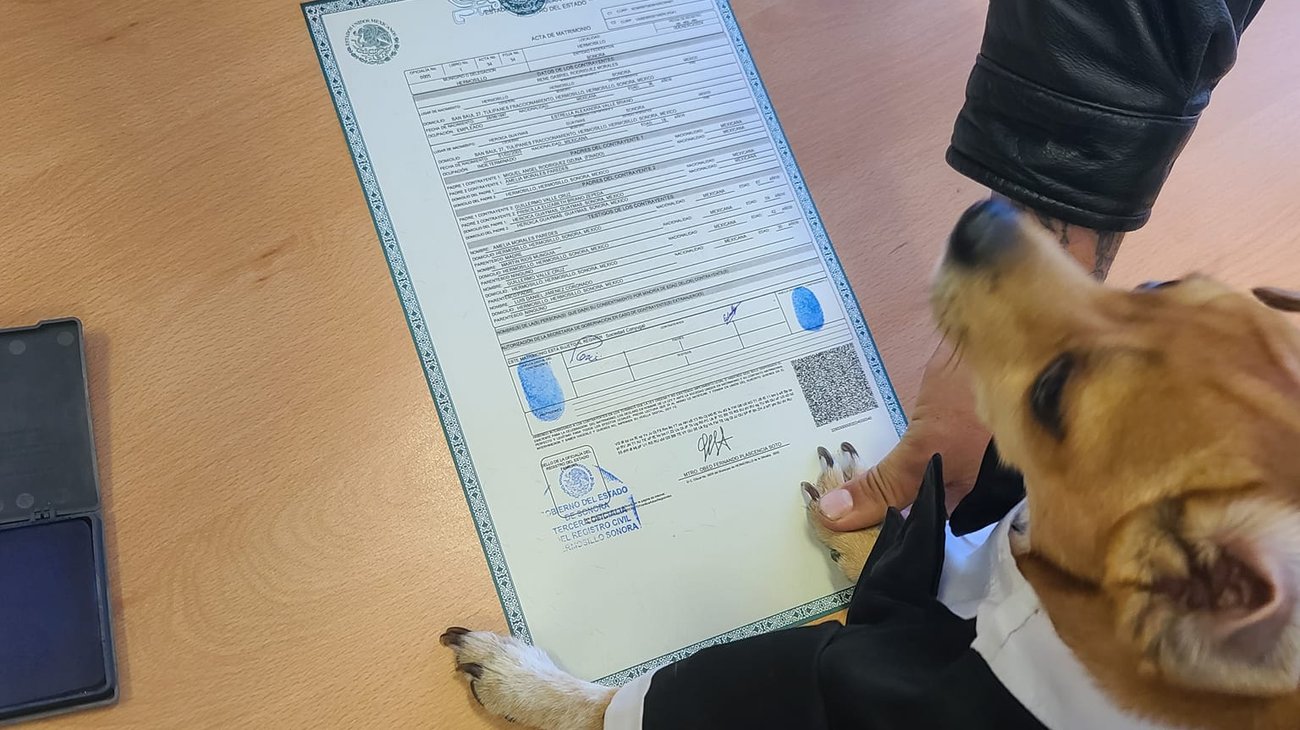 Viral: Perrito firma como testigo en la boda de sus dueños 