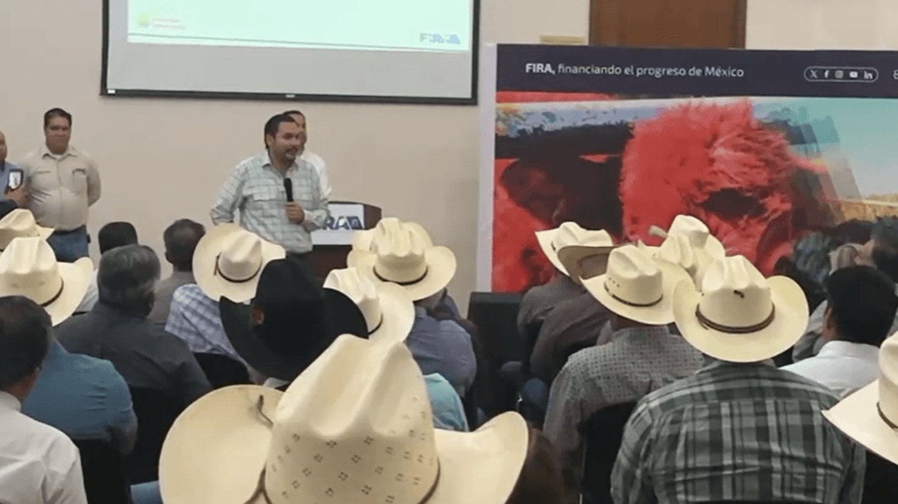 Produccion_ganadera_54dd7ba1c7