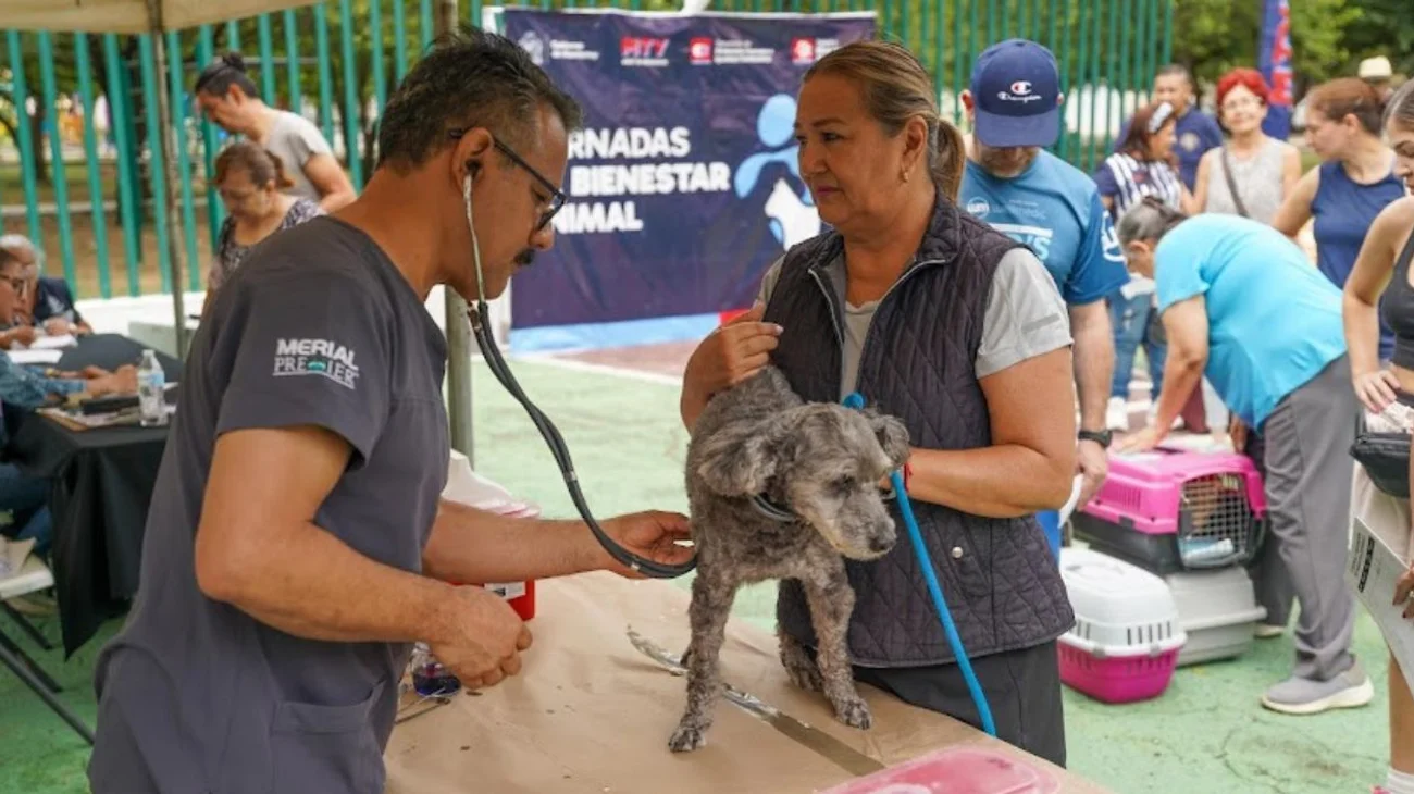 Realizan Feria del Bienestar Animal; fomentan cuidado responsable