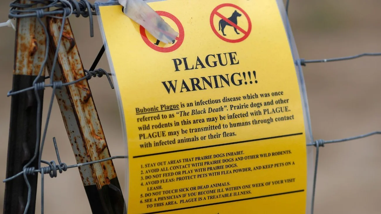 Reporta_EUA_primera_muerte_por_peste_neumonica_en_2025_2ea75fbf77