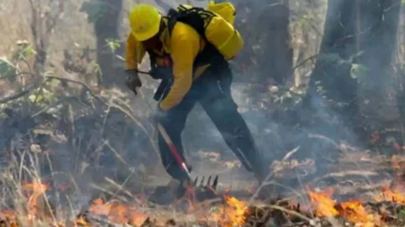 Enfrenta Reynosa récord de incendios; anuncian sanciones severas