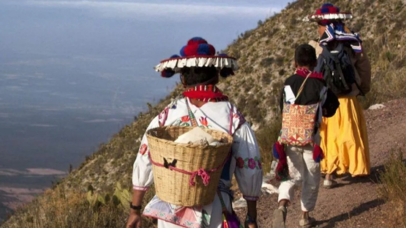Ruta Wirikuta de México entra en la lista del Patrimonio Mundial