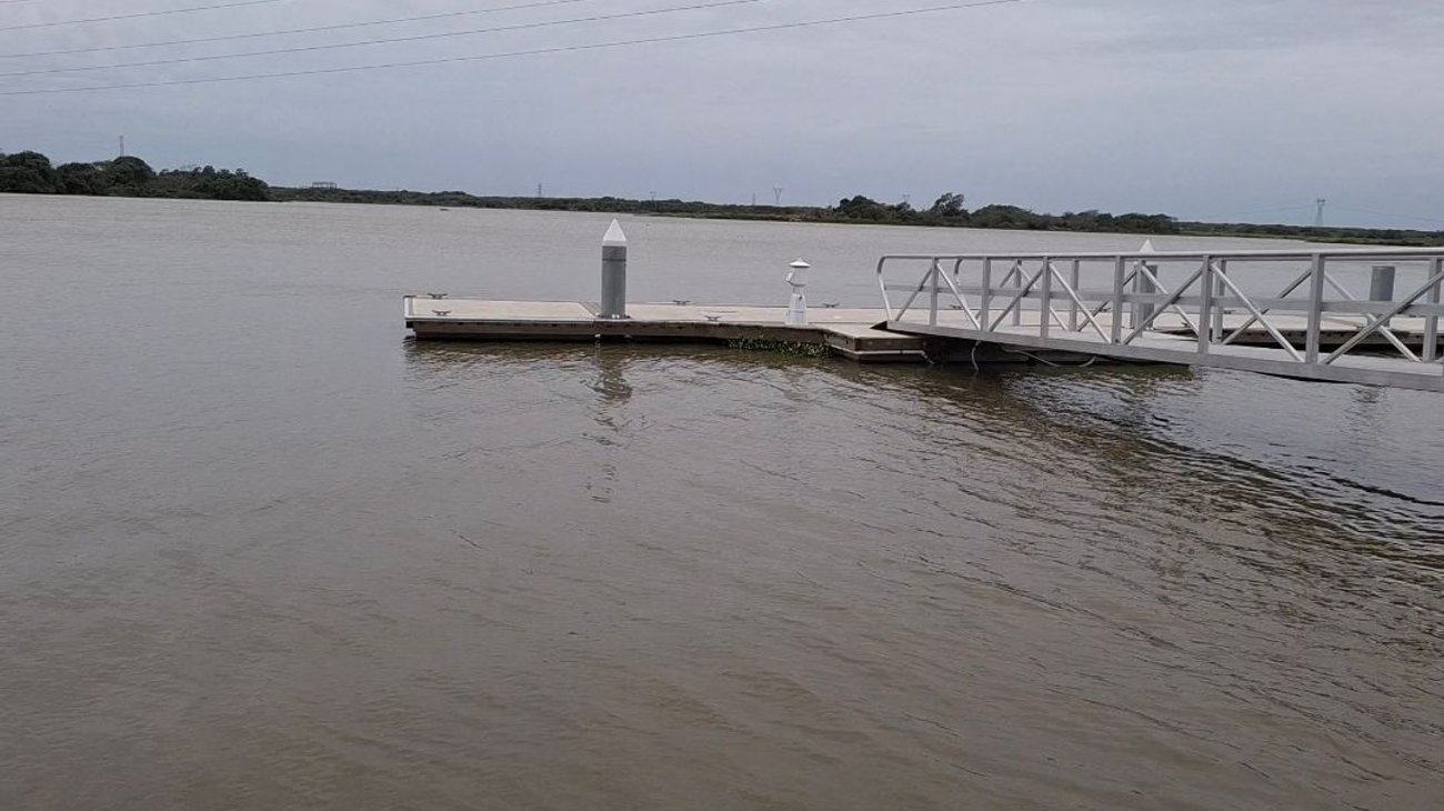  Lanzan Proyecto Génesis para frenar daño ambiental