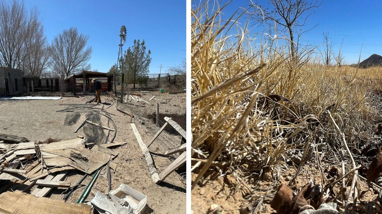 Golpea sequía extrema a Chihuahua, peligra la producción agrícola