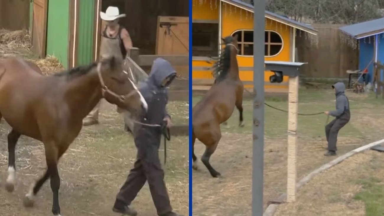 Sergio Mayer Mori sufre accidente con caballo en La Granja VIP