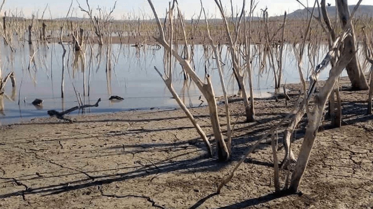 Sufren_sequia_moderada_al_norte_de_Tamaulipas_918d03f884