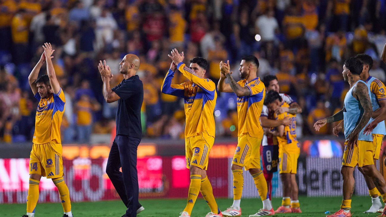 Tigres_3e6b439499
