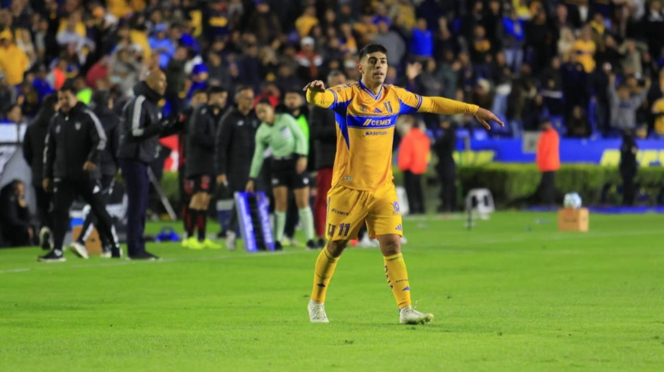 Tigres_Brunetta_2ee857b418