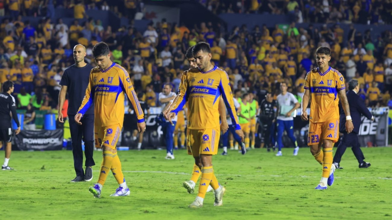 Tigres_tristes_a1cf6527be