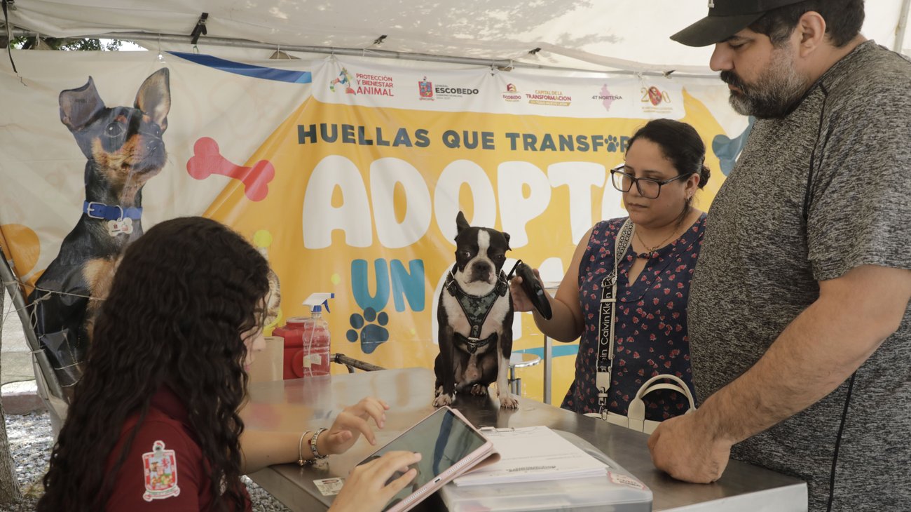 Escobedo refuerza acciones contra el maltrato animal