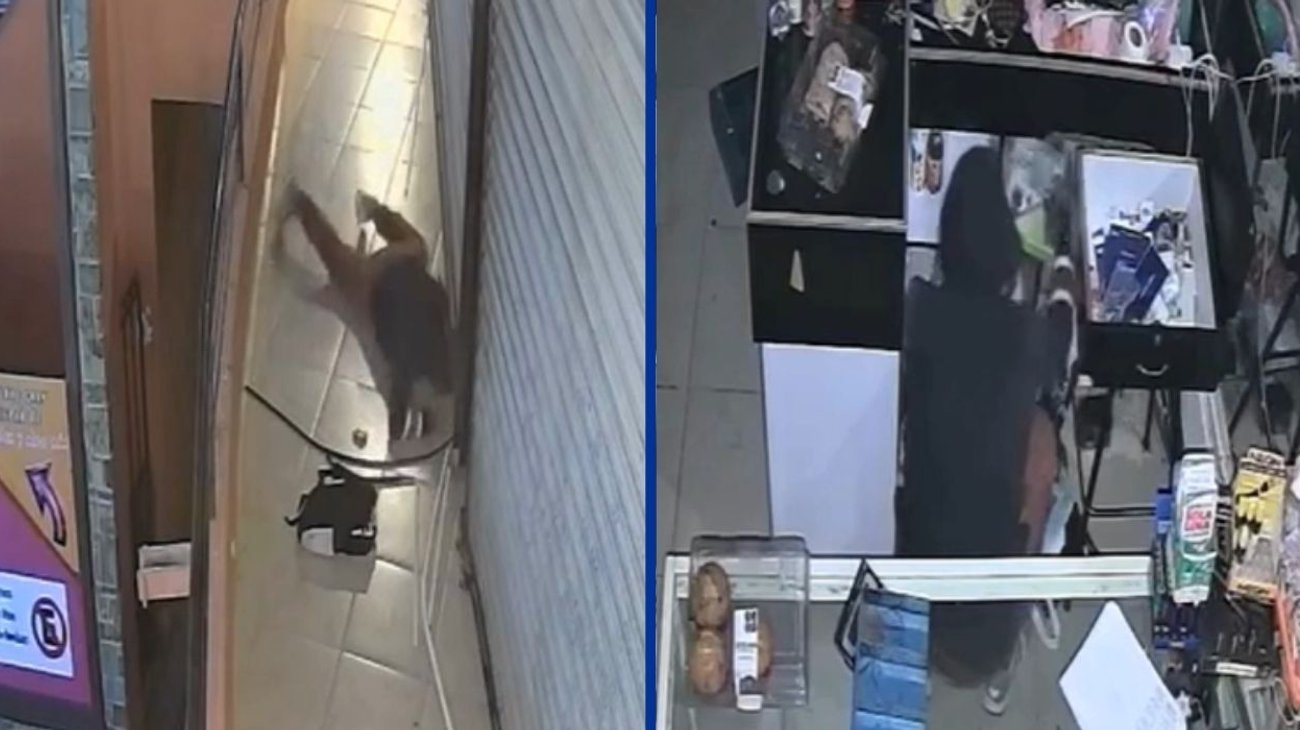 VIDEO: Exhiben robo a tienda de cosméticos en Monterrey