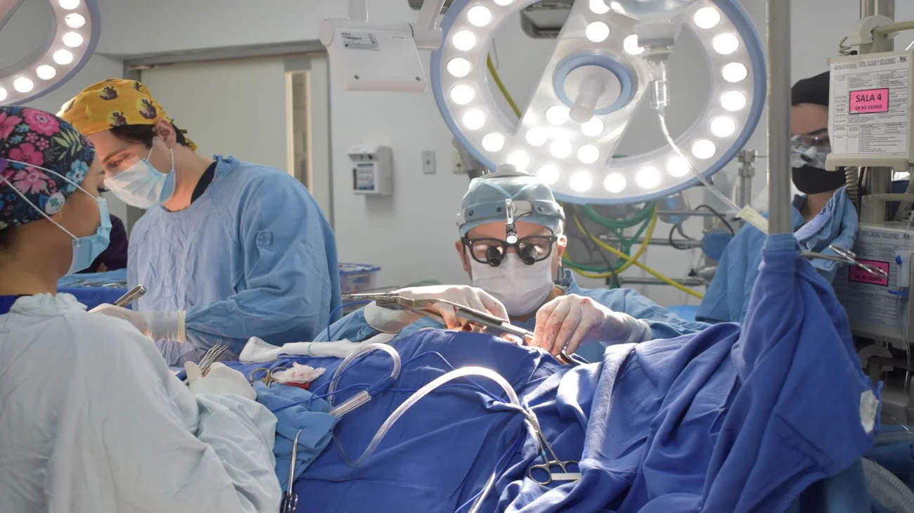 Sin donantes no hay trasplantes: llama IMSS a solidaridad