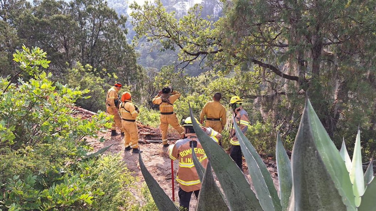 Siguen combatiendo incendio forestal en Iturbide